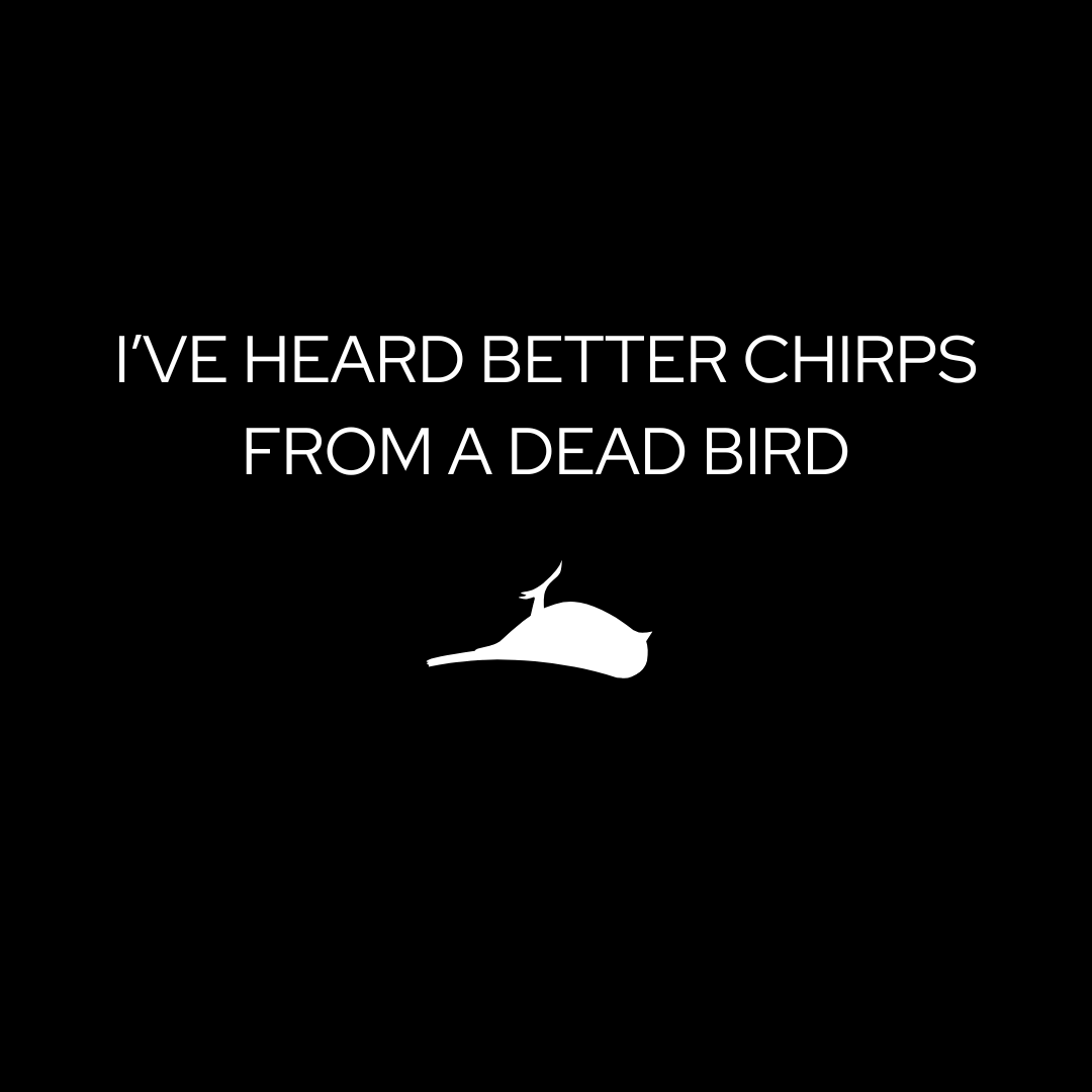 The Dead Bird Classic